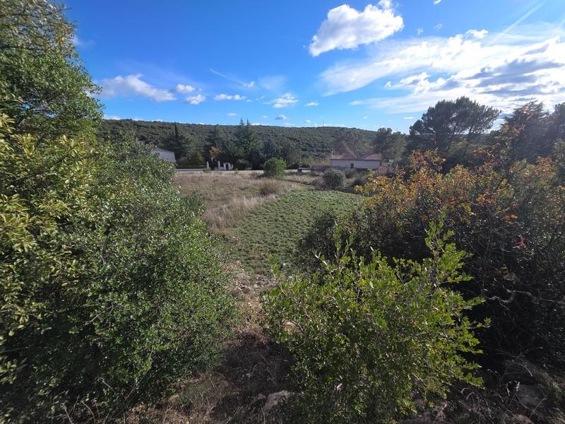 Terrain constructible - 1 781 m²