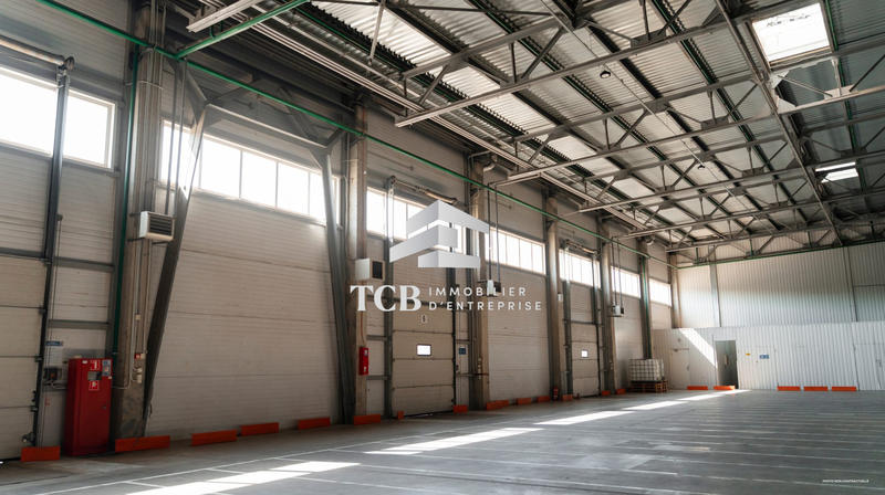 Local d'activités - 5 000 m²