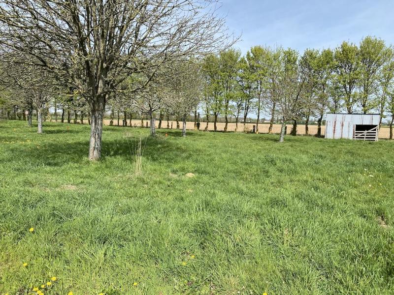Terrain constructible - 452 m²