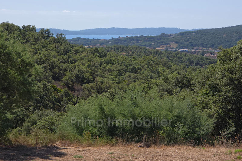 Maison - 300 m² - 6 pièces