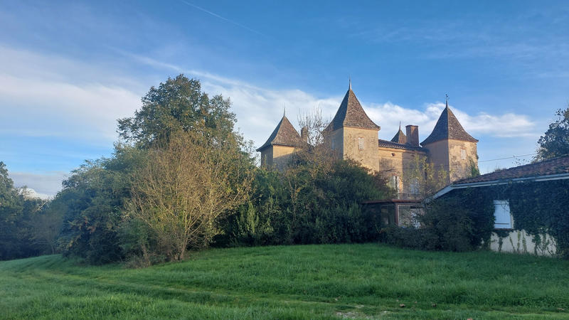 Château - 390 m² - 12 pièces