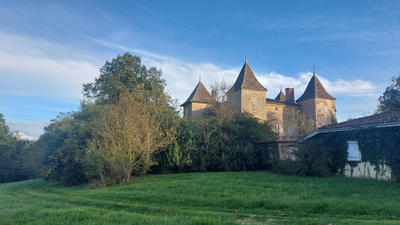 Château - 390 m² - 12 pièces