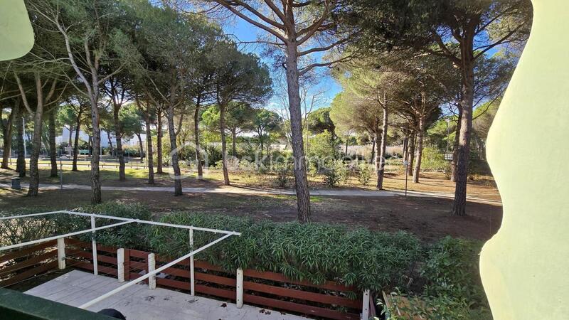 Studio - 26 m² - 1 pièce