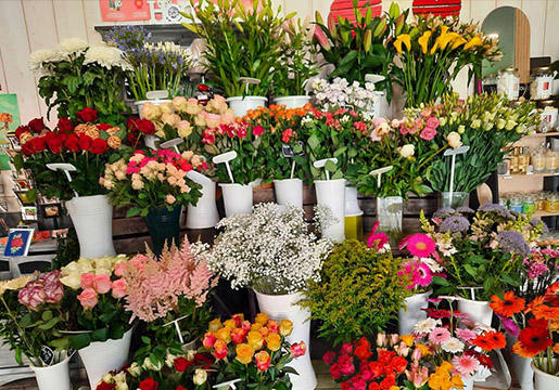 Le Petit Mont Fleuri