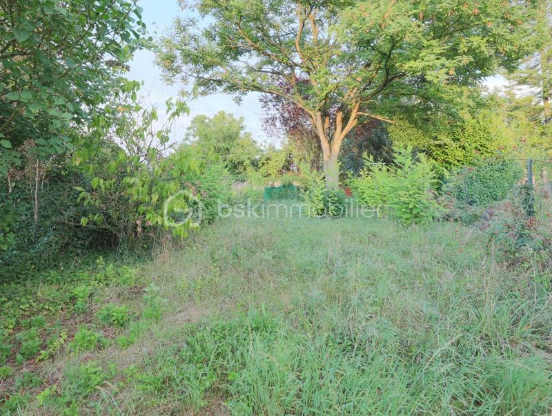 Maison ancienne - 130 m² - 5 pièces