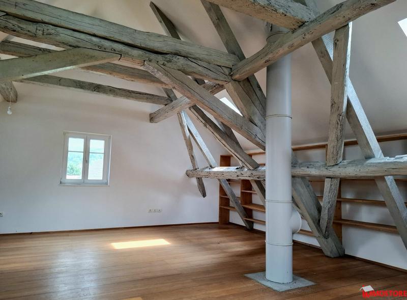 Maison - 397 m² - 11 pièces