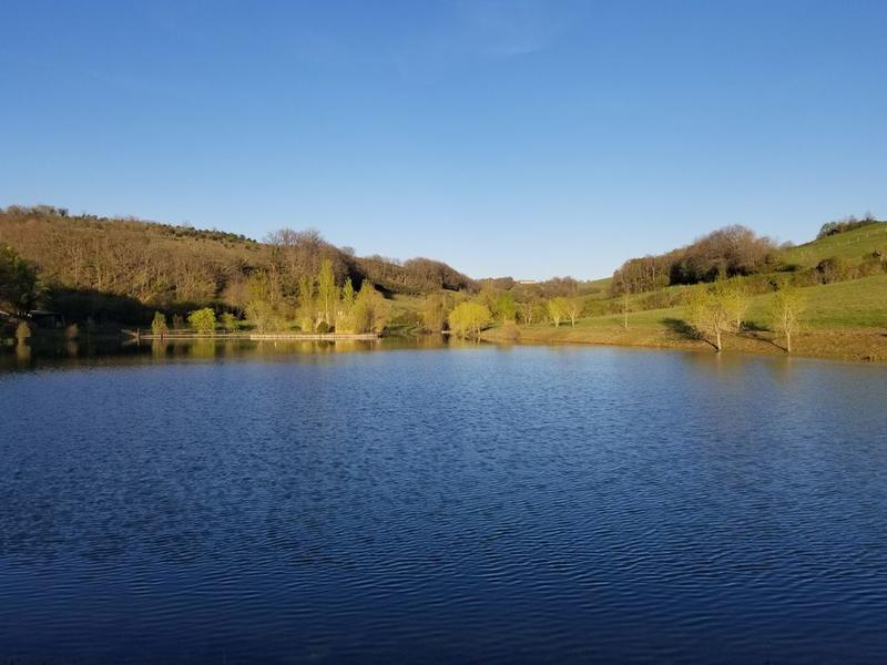 Propriété - 936 m² - 23 pièces