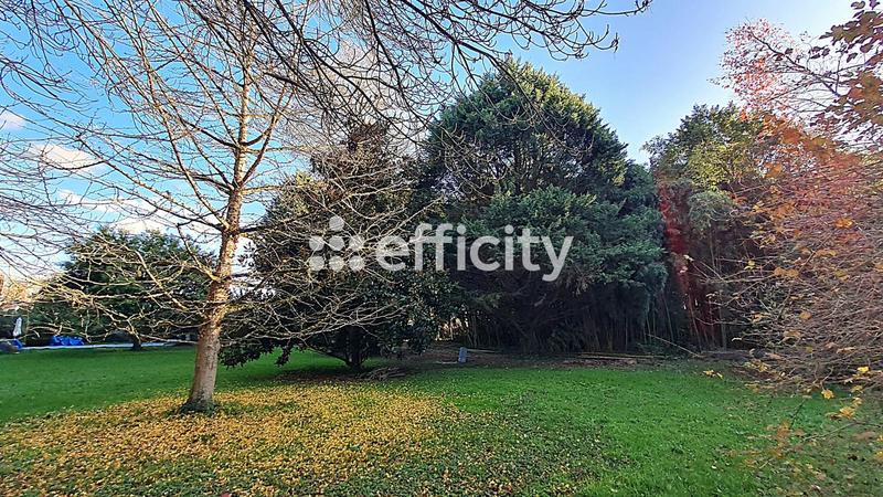 Maison en pierre - 160 m² - 8 pièces