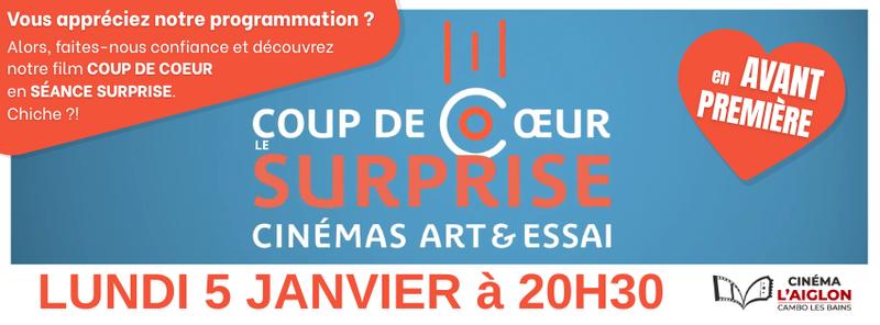 Coup de coeur surprise des Cinémas Art &amp; Essai