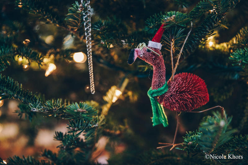 Spectacle d'improvisation : le Sap'impro