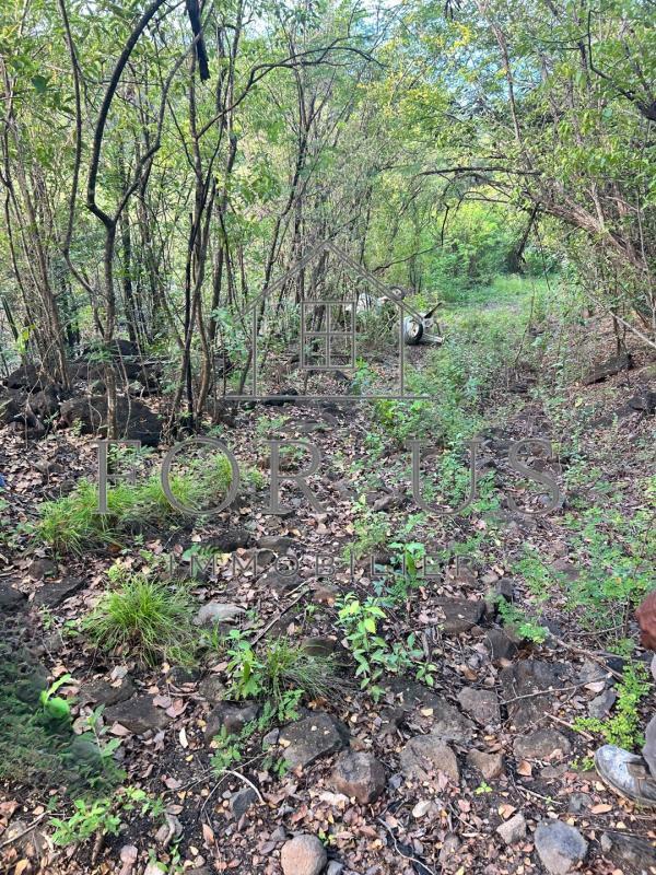 Terrain constructible - 1 096 m²