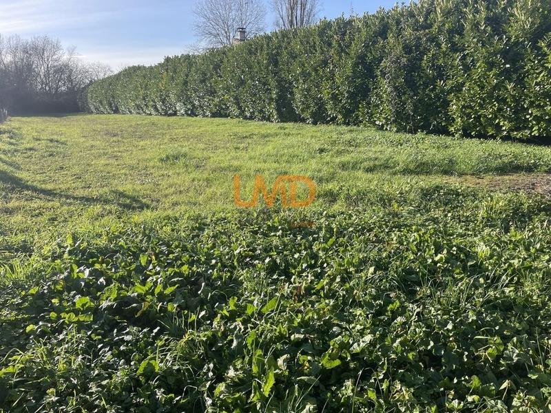 Terrain constructible - 1 193 m²