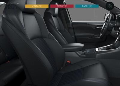 Toyota Rav4 2.5 Hybrid 218 Style