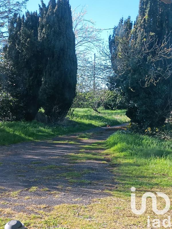 Maison de campagne - 80 m² - 4 pièces