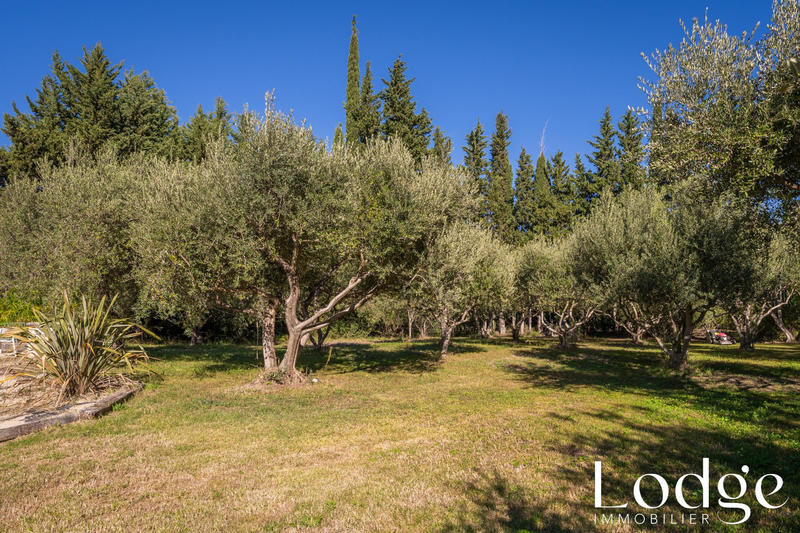 Maison ancienne - 250 m² - 8 pièces