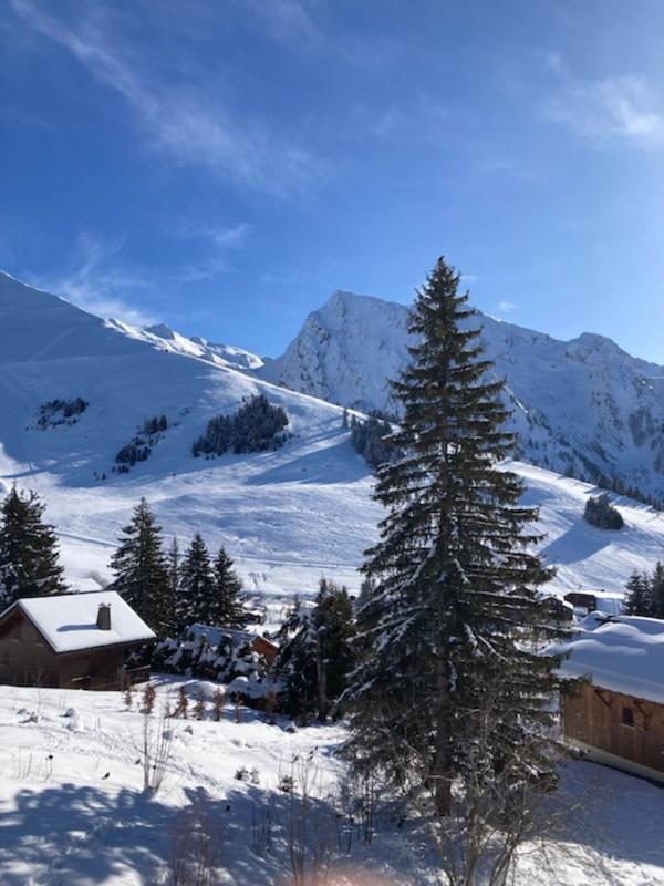 Appartement - 25 m² - 2 pièces