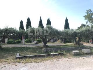 Local d'activités - 875 m²