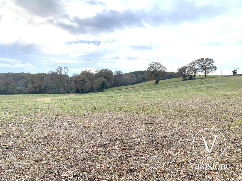 Terrain agricole - 11 460 m²