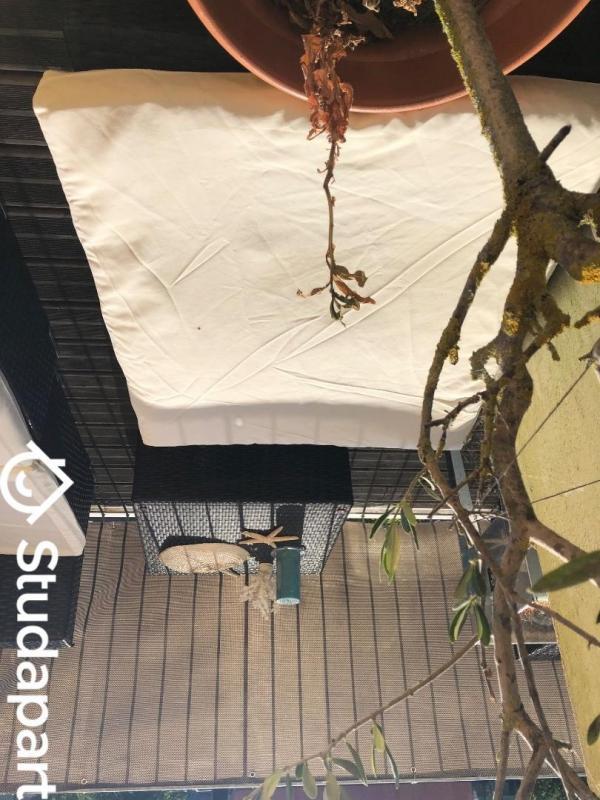 Chambre - 14 m² - 1 pièce