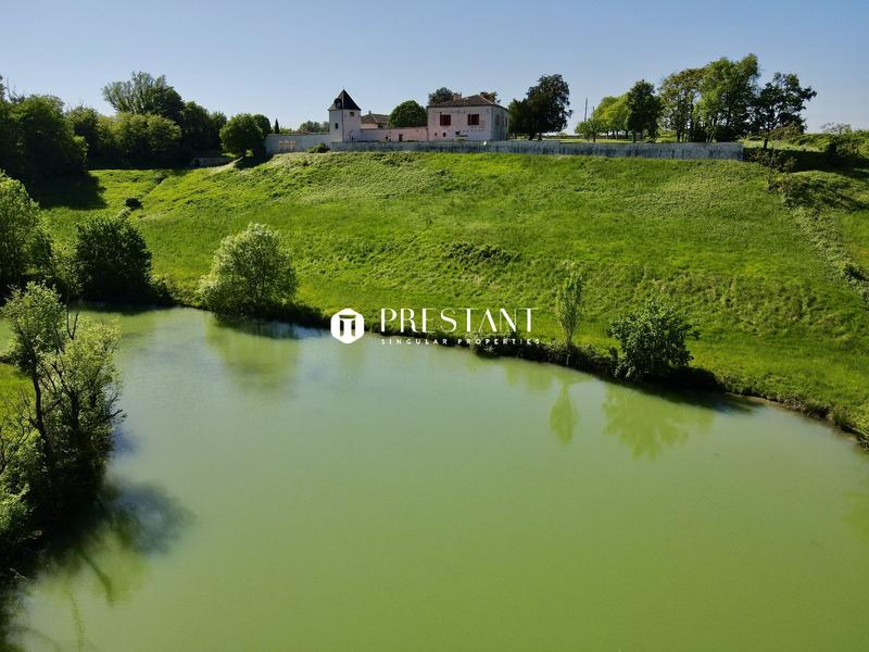 Maison de domaine - 800 m² - 14 pièces