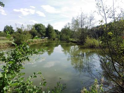 Terrain - 12 496 m²