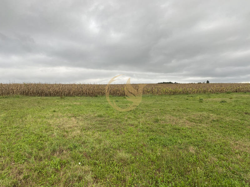 Maison ancienne - 80 m² - 2 pièces