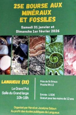 25ème salon exposition de minéraux - bijoux - fossiles - trésors de la terre