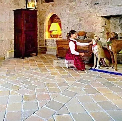 Local commercial - 56 m² - 2 pièces