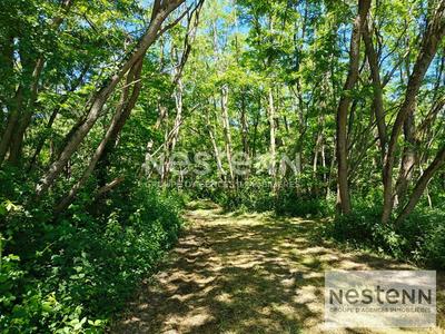 Terrain - 270 000 m²