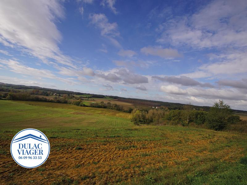 Viager - Terrain agricole - 99 872 m²