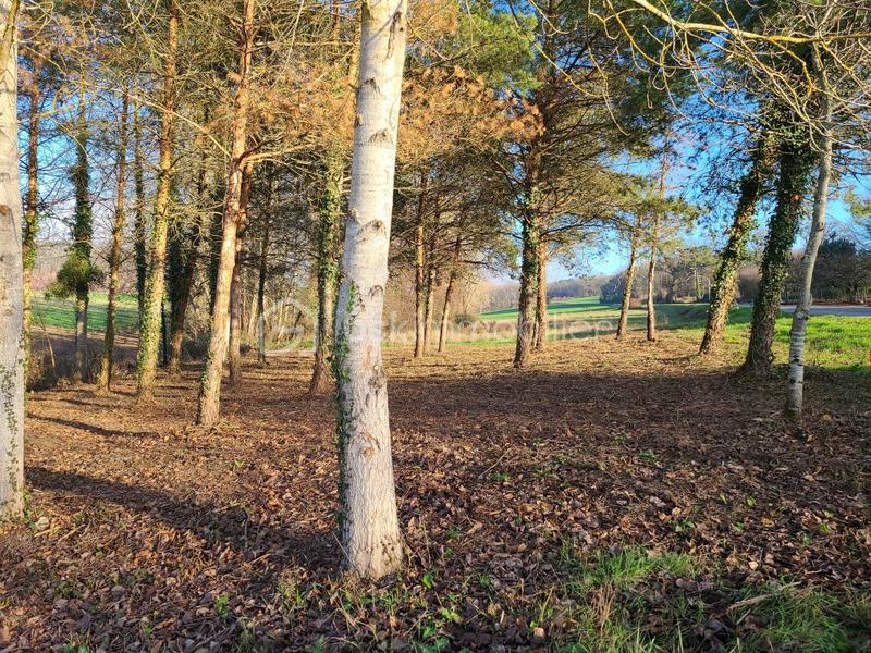 Terrain constructible - 1 000 m²