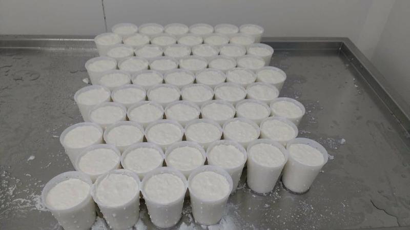 Visite et traite des chèvres à la ferme du Londenbach