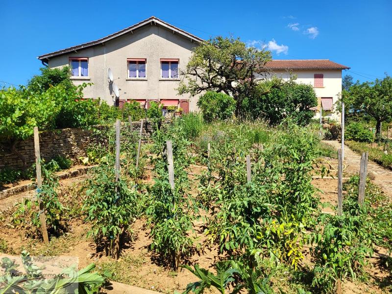 Propriété - 315 m² - 14 pièces