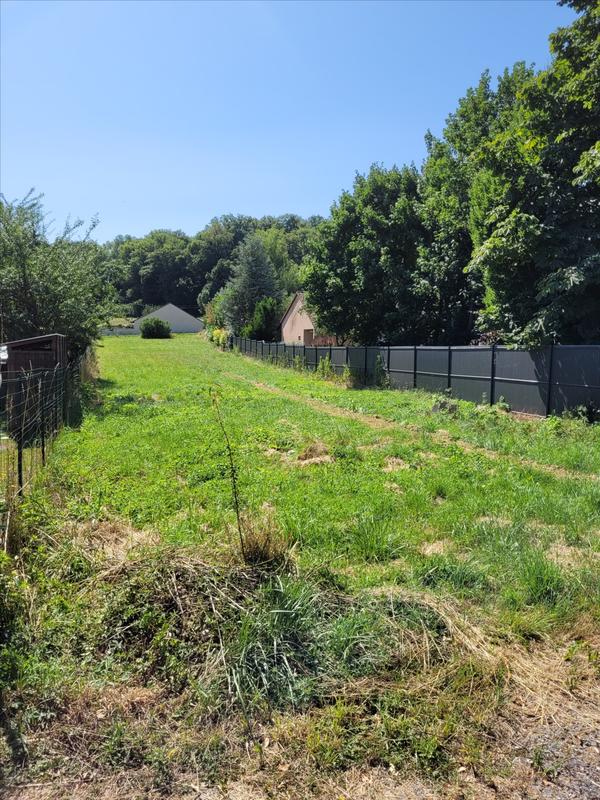 Terrain constructible - 1 239 m²