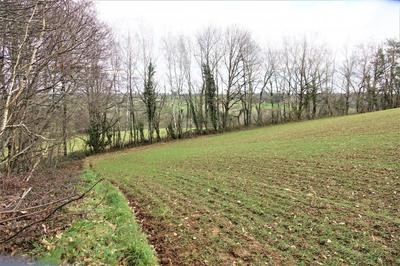 Terrain - 42 203 m²