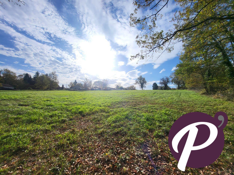 Terrain - 14 806 m²