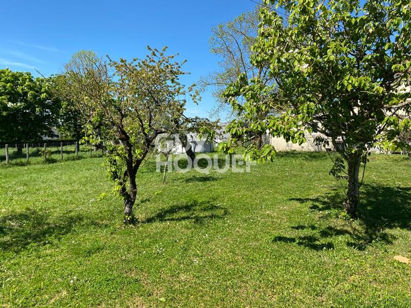 Maison en pierre - 190 m² - 5 pièces