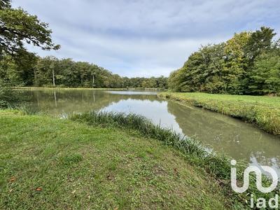 Terrain - 40 000 m²