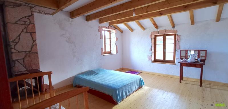 Maison en pierre - 441 m² - 13 pièces