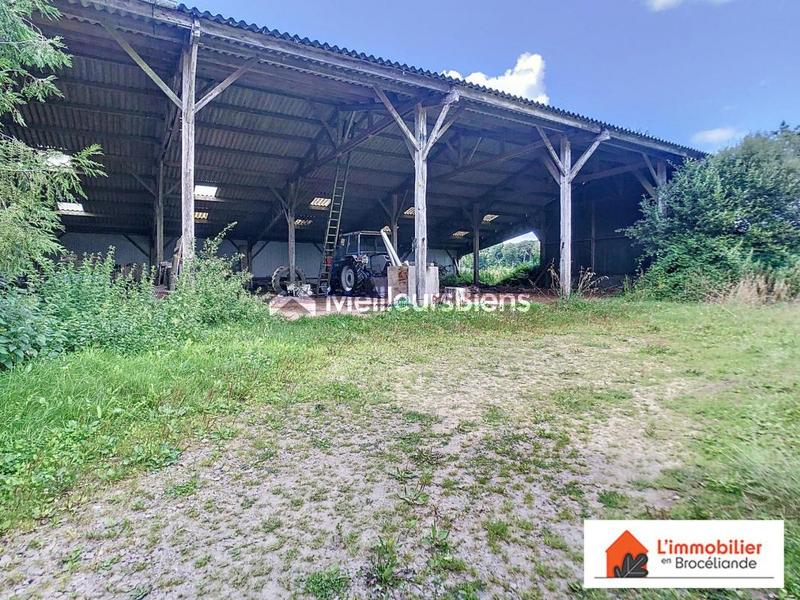 Longère - 250 m² - 5 pièces