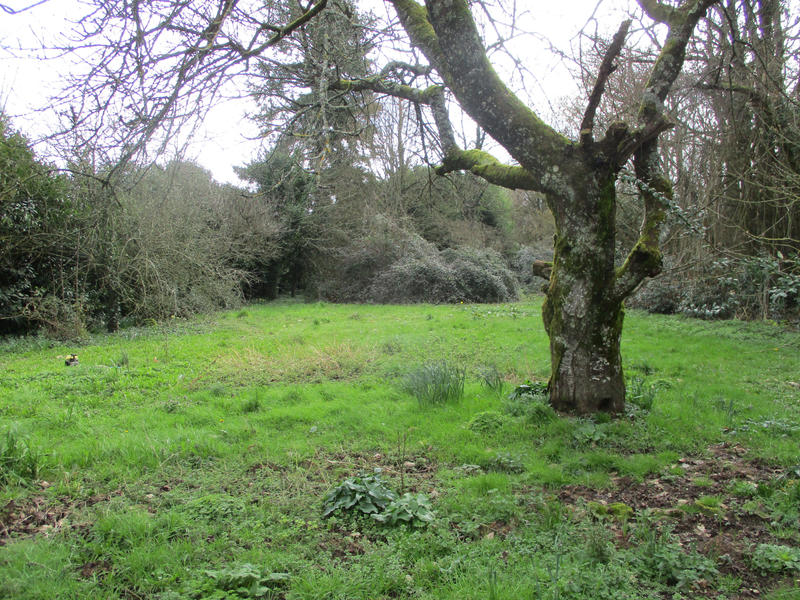 Maison - 138 m² - 7 pièces