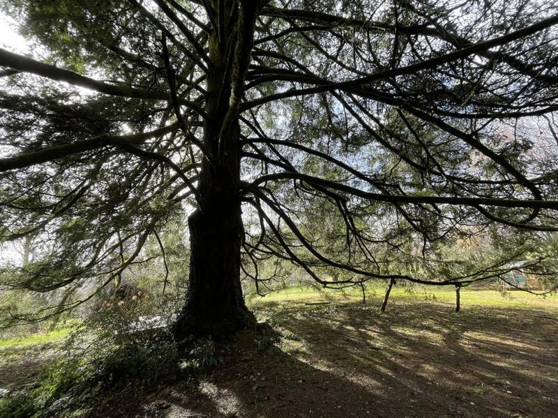 Demeure - 165 m² - 8 pièces