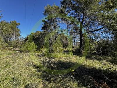 Terrain agricole - 10 000 m²