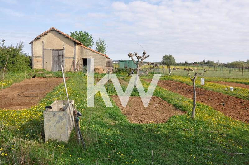 Mas - 278 m² - 7 pièces