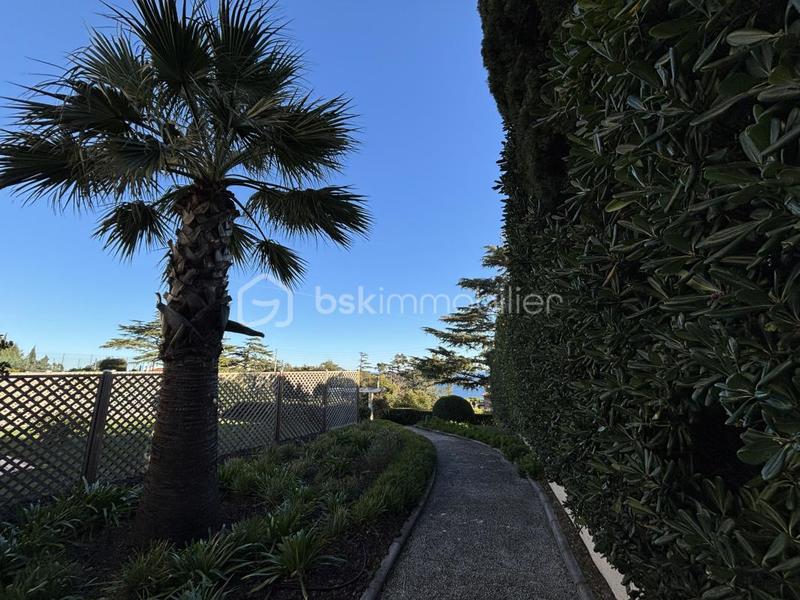 Studio - 23 m² - 1 pièce