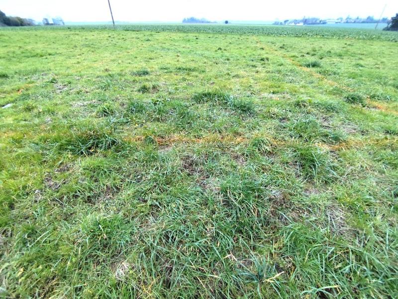 Bureau - 73 m² - 1 pièce