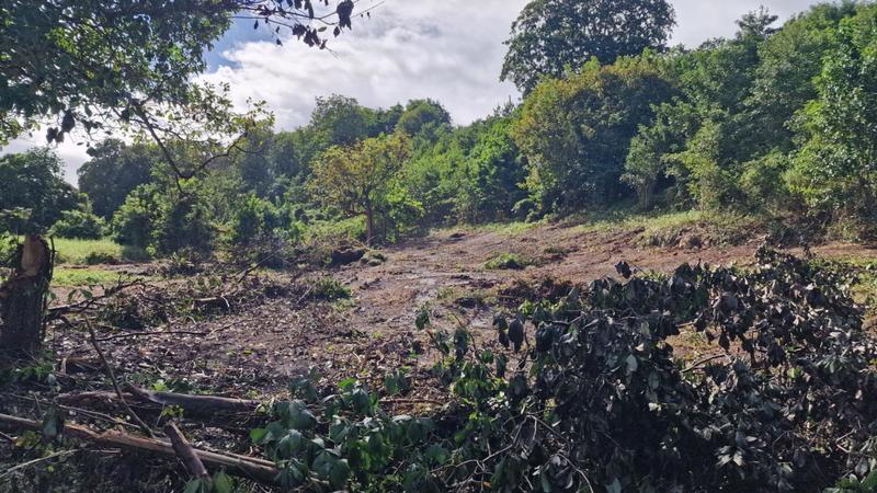 Terrain constructible - 897 m²