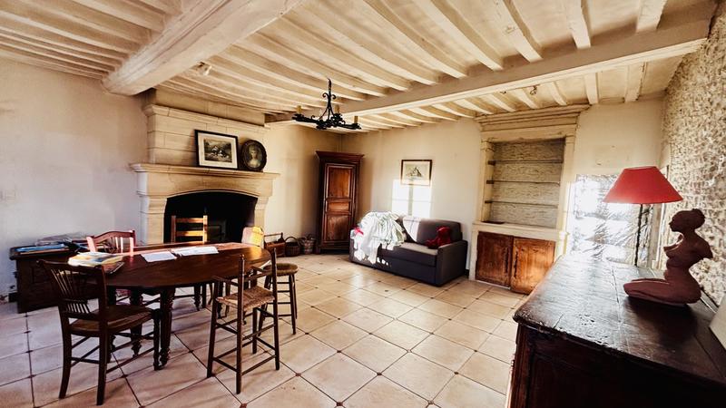 Maison ancienne - 326 m² - 13 pièces