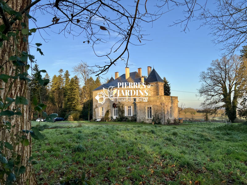 Château - 260 m² - 10 pièces