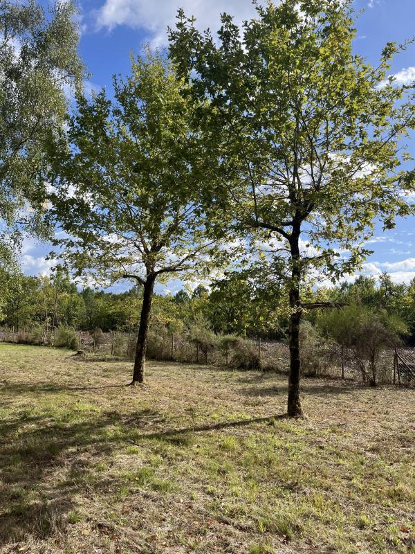 Terrain constructible - 1 200 m²